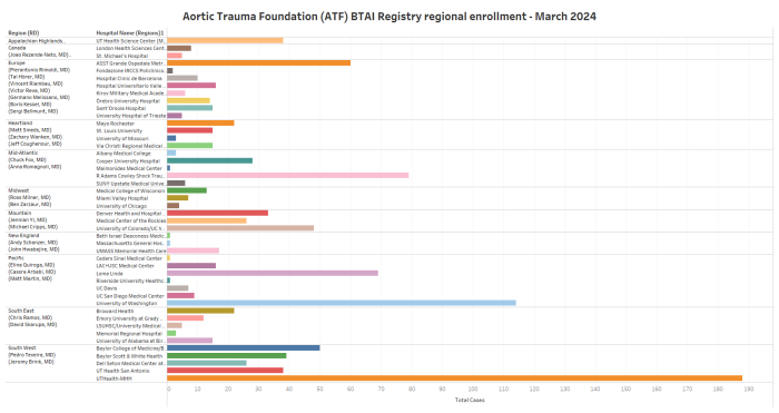 Aortic Trauma Foundation BTAI registry March 2024 Update